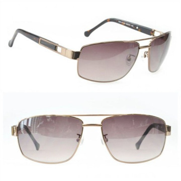 Óculos de sol de estilo novo 2013 / Óculos de sol de moda